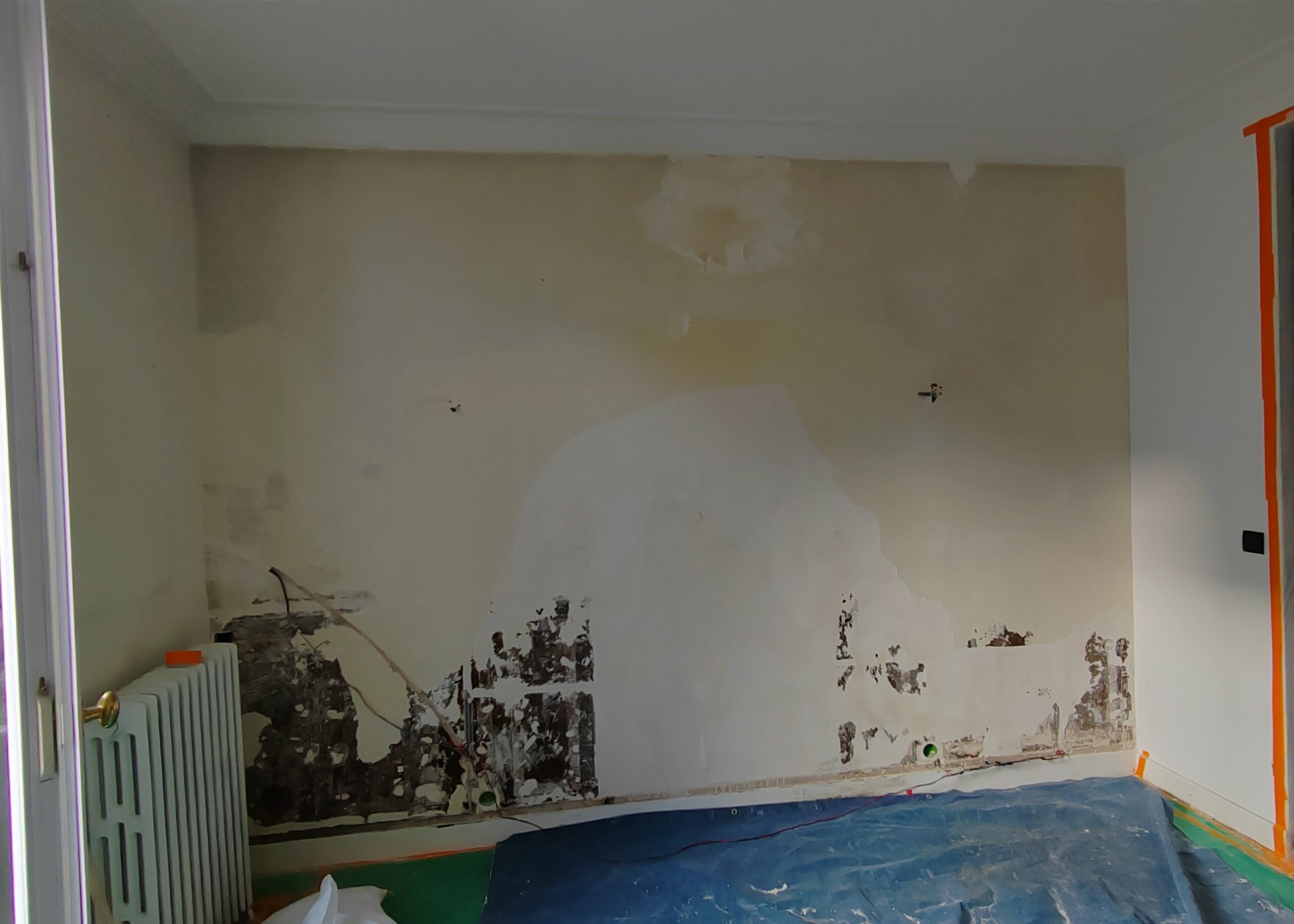 IMG_20241021_17044133 IMG_20241021_17044133